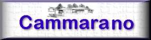 Click for Cammarano Real Estate Agency.